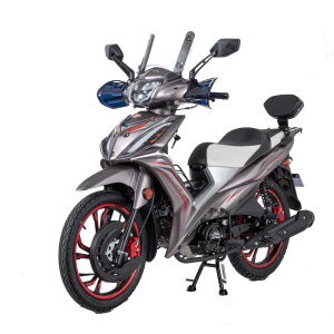 SANYA X1000 125 CC GRIS NARDO