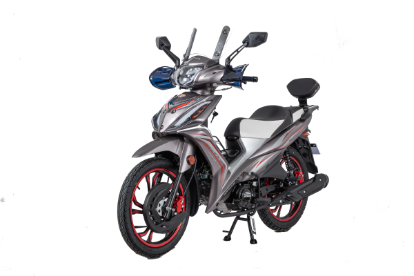 SANYA X1000 125 CC GRIS NARDO