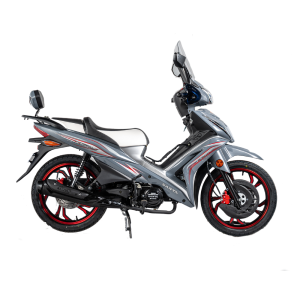 Sanya X1000 125 CC Gris
