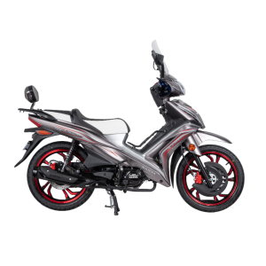 Sanya X1000 125 CC Golde