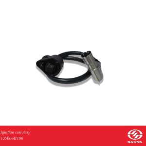 Ignition Coil Assy