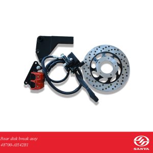 Rear Disk Break Assy